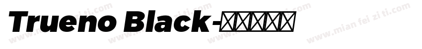 Trueno Black字体转换